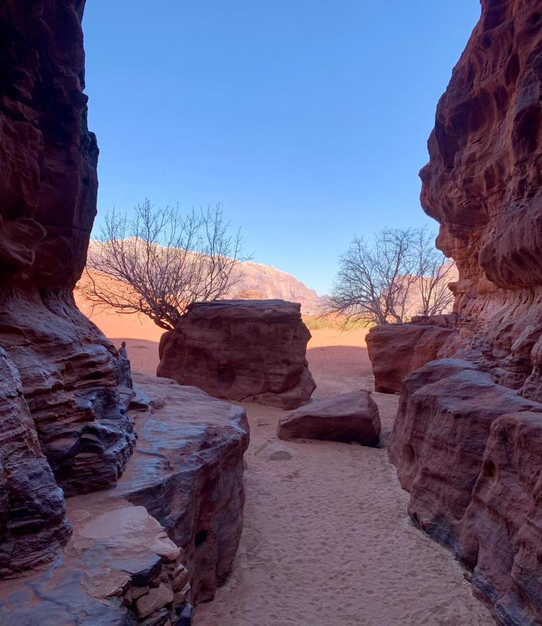 Bedouin Memories Camp Bed & Breakfast Wadi Rum Bagian luar foto